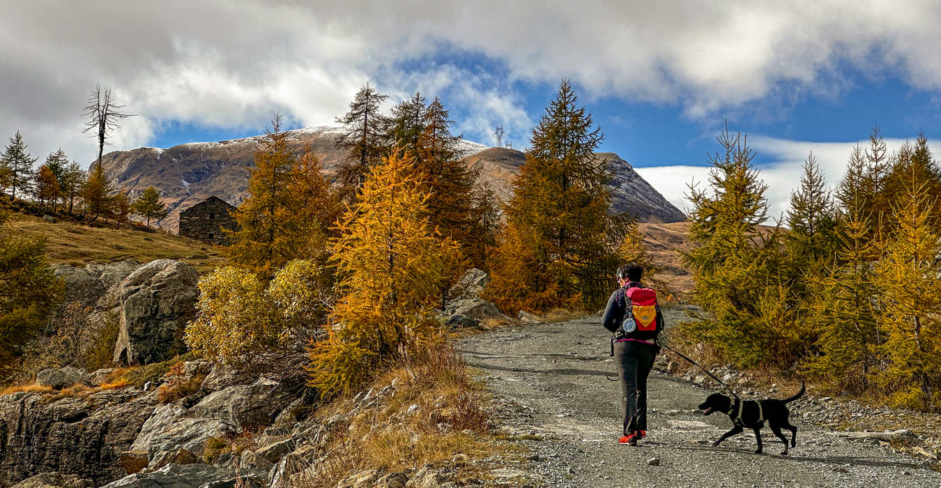 Camminare cane Parco Avic Champorcher Valle d'Aosta