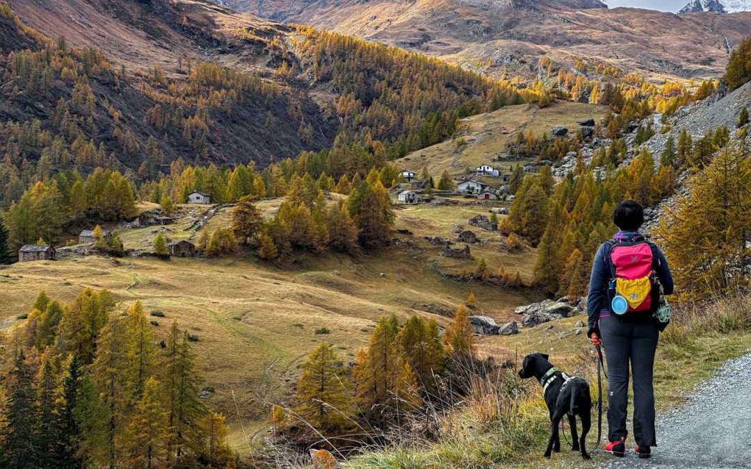 Vacanza con il cane in Valle d’Aosta, da Revivre con gli amici a quattro zampe