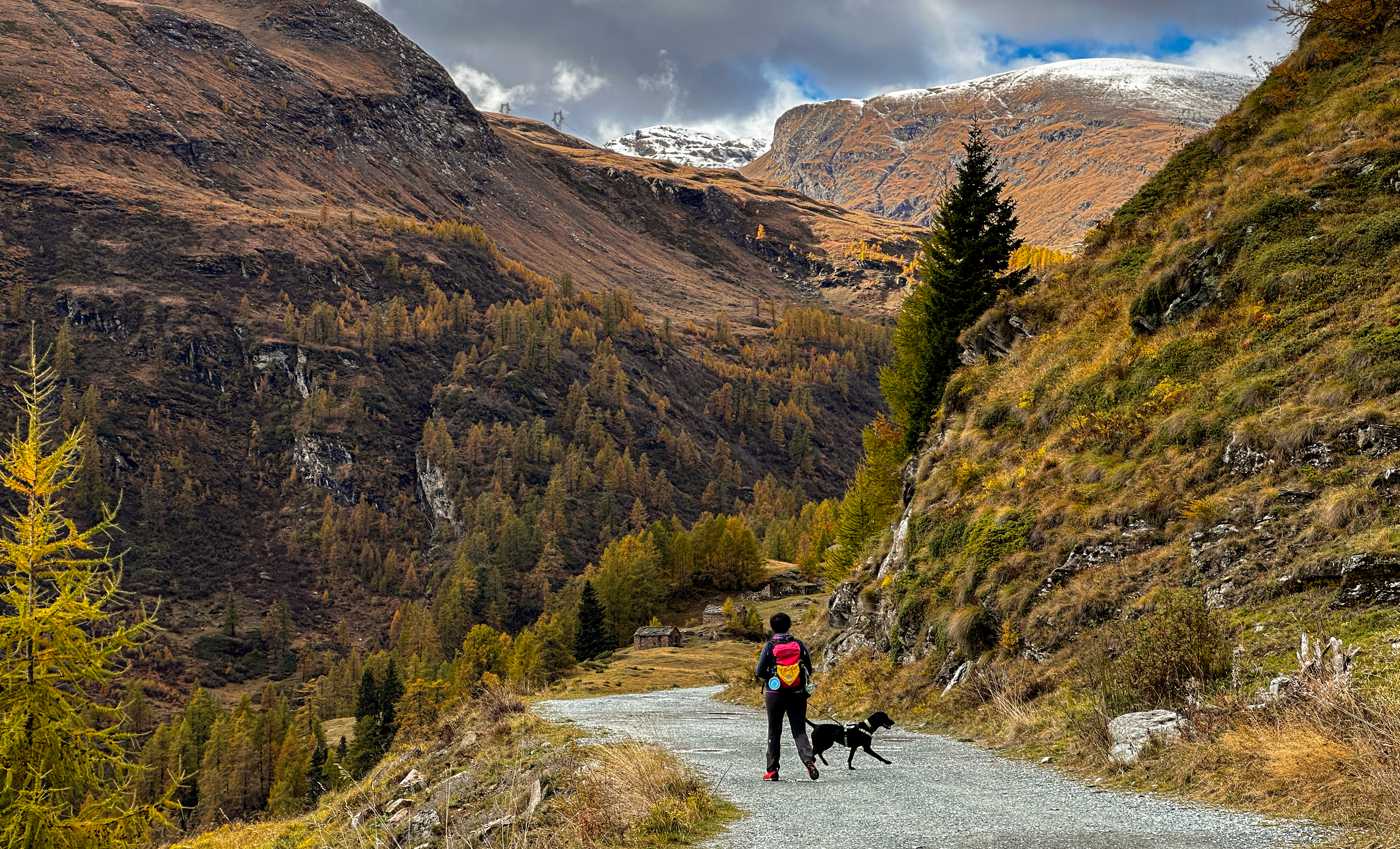 Vacanza cane valle Aosta a Champorcher