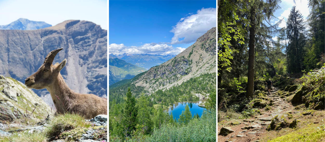 Vacanze estive e camminare in Valle di Champorcher - Valle d'Aosta