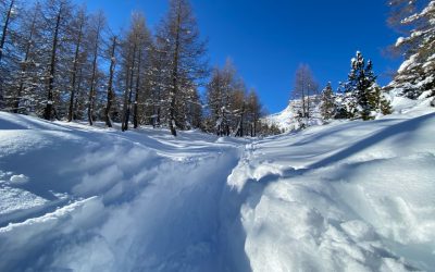 Esplorare Champorcher con le ciaspole: percorsi incantevoli per l’inverno