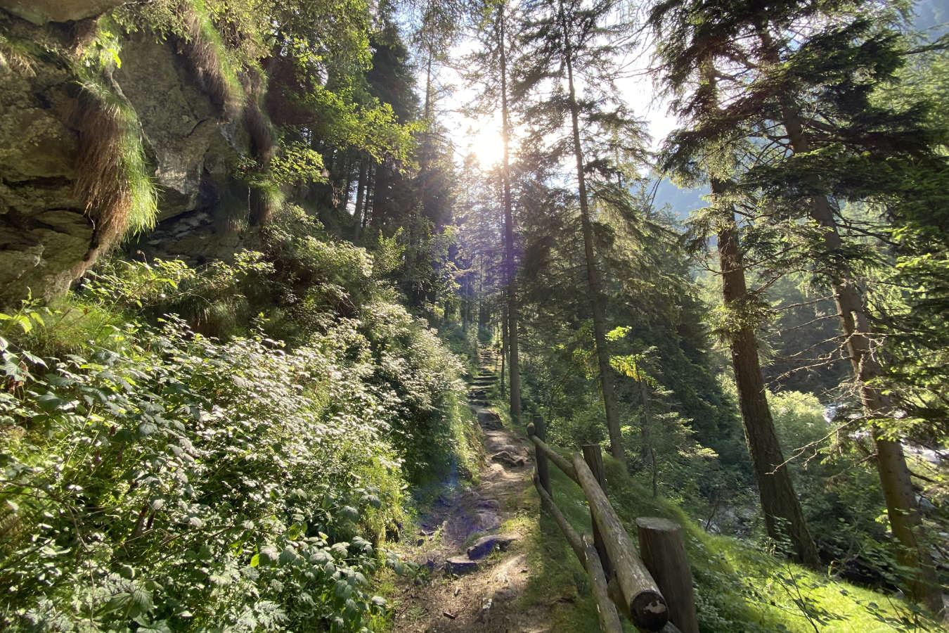 Yoga meditazione in montagna