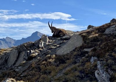 Attività esperienze Valle di Champorcher - Parco Mont Avic