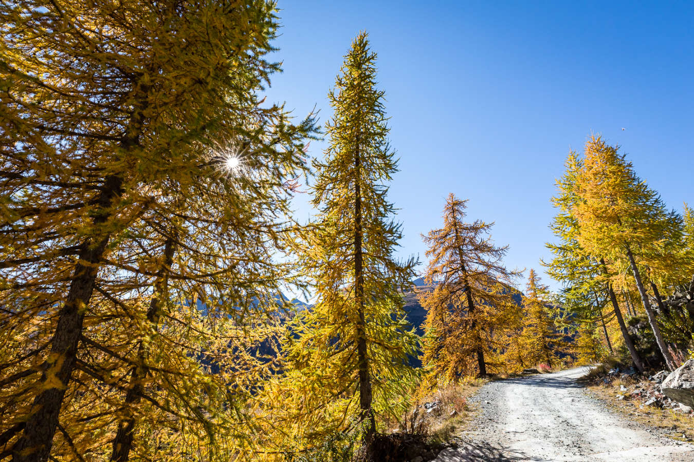 Itinerari percorsi facili autunno Valle Aosta Valle Champorcher