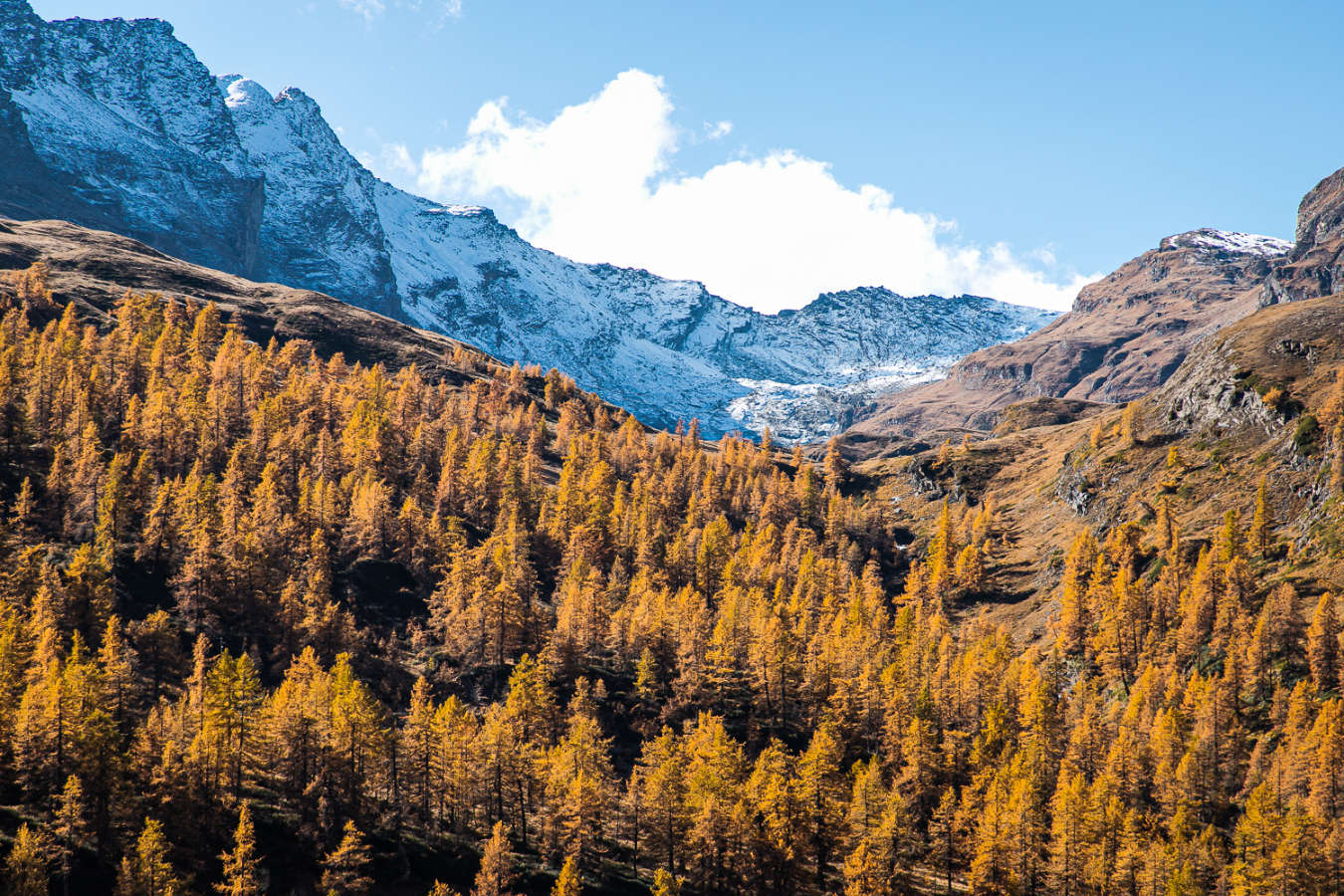 Foliage Valle d’Aosta