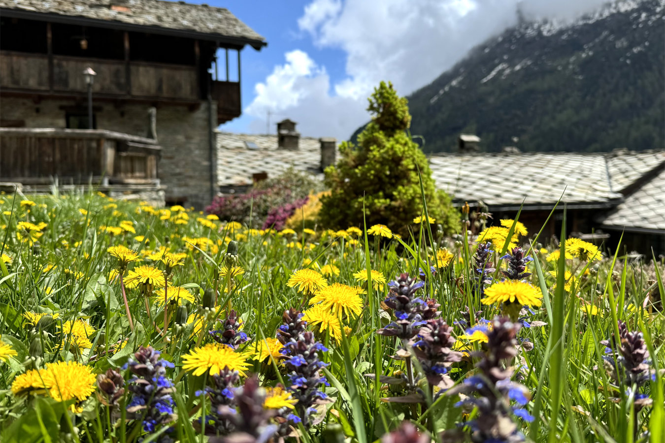 Revivre Village - Primavera in montagna, baite e villaggio in Valle d'Aosta - Valle di Champorcher